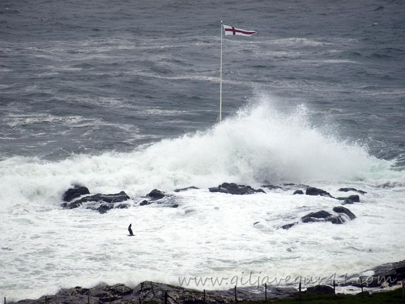 EJ155829 copy.jpg - Føroyska flaggið á Nesið